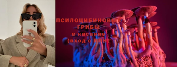 ешки Аркадак