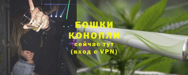 гидра Сосновоборск