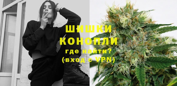 ешки Аркадак