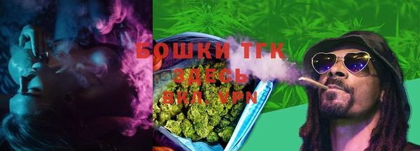 ешки Аркадак